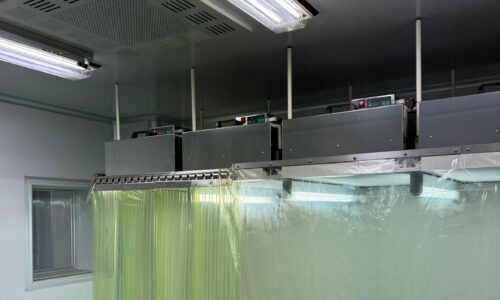 WhatsApp Image 2025-03-17 at 16.28.21 (2) WhatsApp Image 2025-03-17 at 16.28.21 (2)